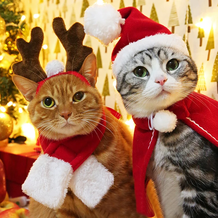 猫飼いが買ってよかったもの・悪かったもの正直に言う | クリスマス帽子とスカーフの使い勝手と素材