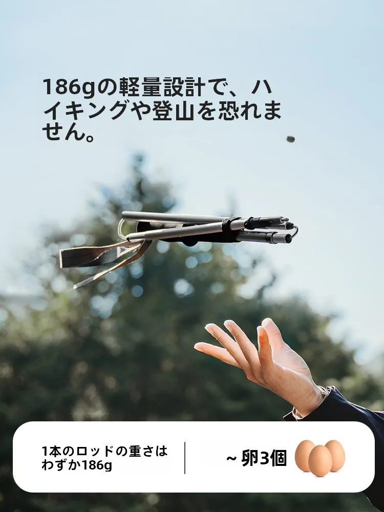 キャンプ道具を節約調達｜実際に使ってみた結果　アルミ登山杖の選び方徹底解説