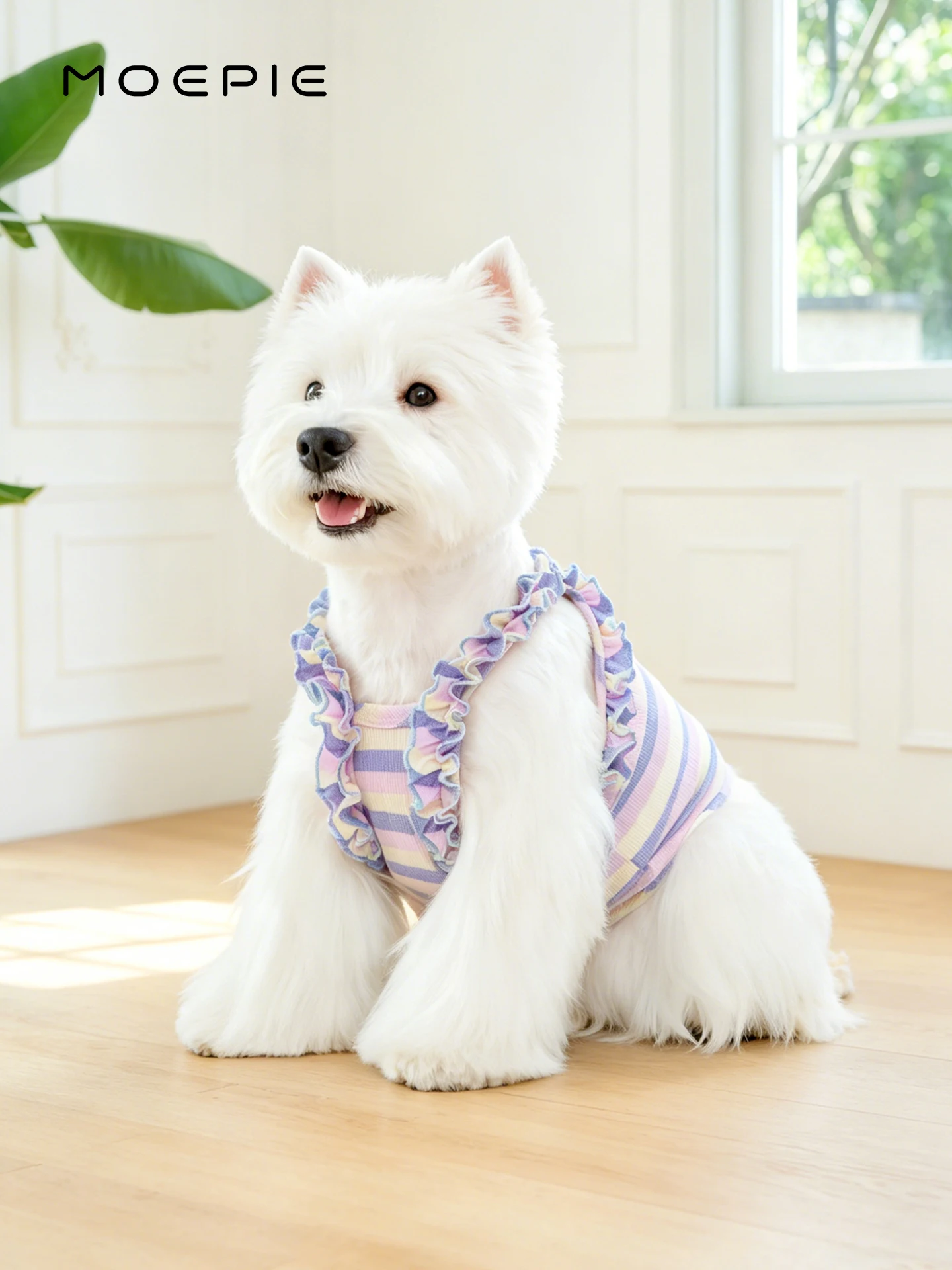 犬の夏用服：MOEPIE半袖通気性服の実用性とサイズ選定ガイド