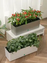 ジョジョのL.PD.セギエール。 植木鉢