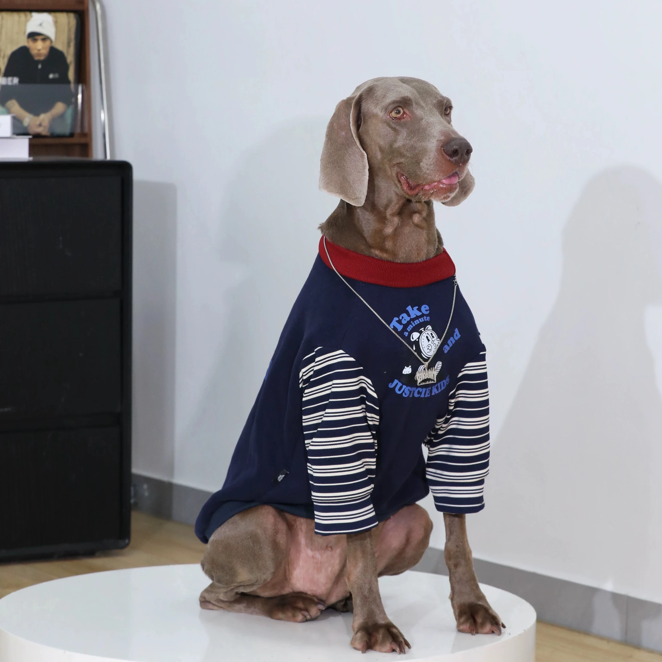 大型犬用秋冬セーター：ラブラドール・ゴールデン・ボーダーコリー向けの裏起毛デザイン