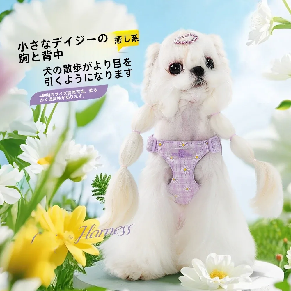 犬のお散歩グッズをコスパ良く揃える方法 | 小型犬向けハーネスリードのサイズ・推奨体重・摩擦抑制の仕組み