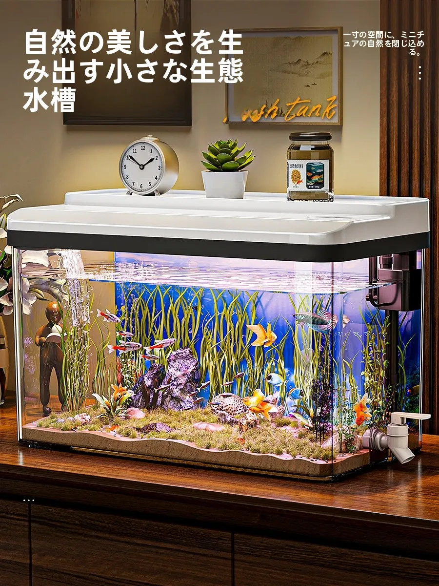 メダカ稚魚飼  育に最適な耐衝撃エコ水槽の選び方