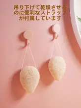 洗顔用魔芋スポンジ【ウォールナッツシード・クレンジング効果・顔用・アイメイクオフ】
