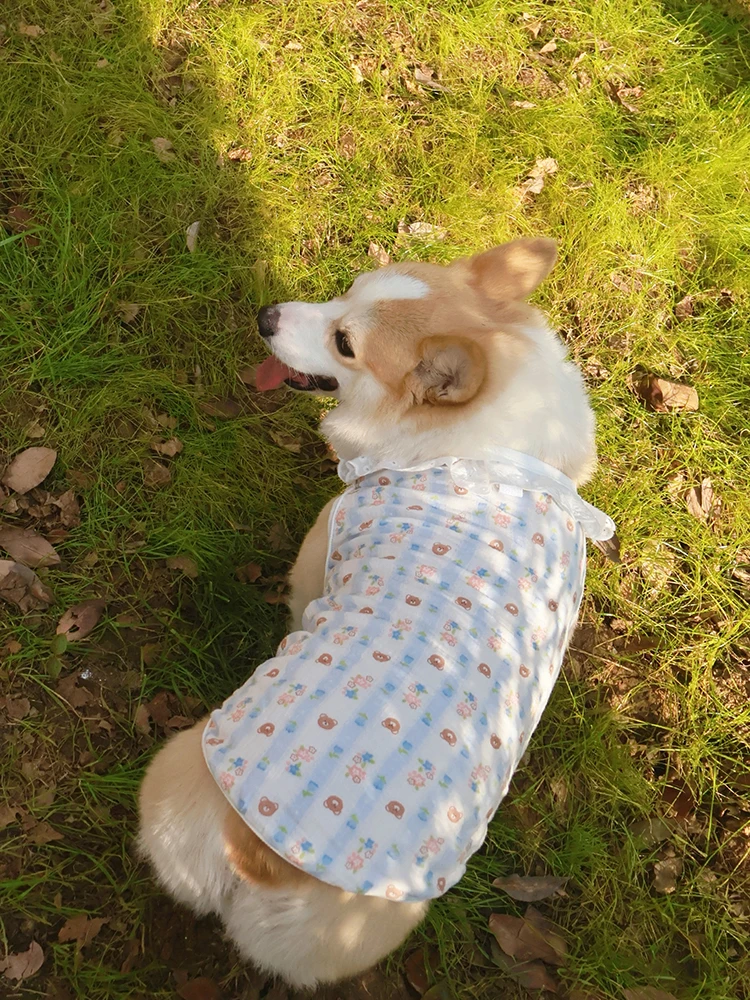夏の犬服で悩むなら、このプリンセスドレスが救う理由は？