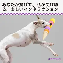 発声機能付きアイスクリーム犬用おもちゃ【噛むのに最適・コーギータイプ】