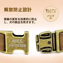 VON 犬用首輪【小型犬・中型犬・大型犬対応・リード付き・迷子札付き】