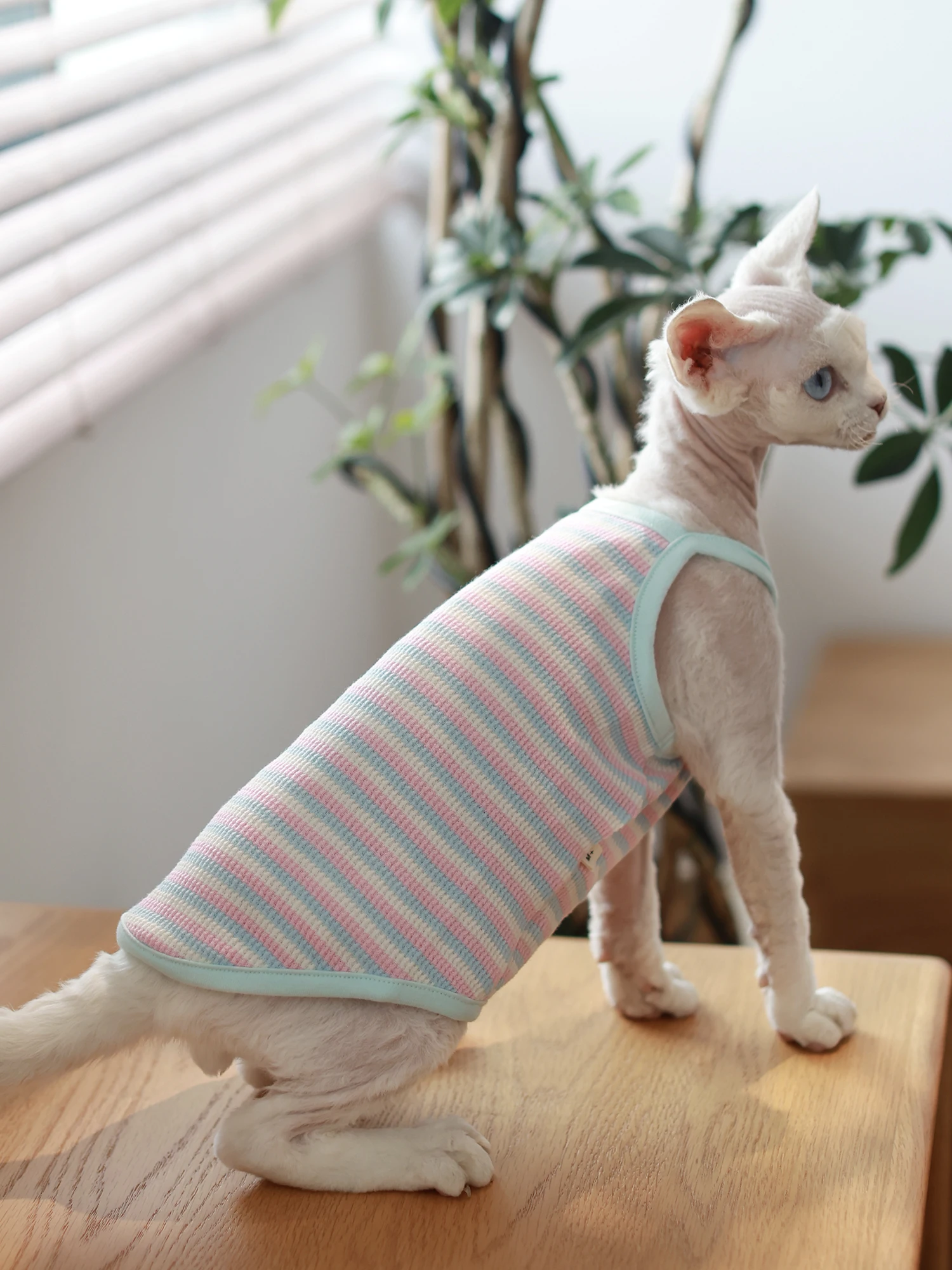 猫飼いが買ってよかったもの・悪かったもの正直に言う｜夏の涼しさを実感する吊りストラップの徹底解説