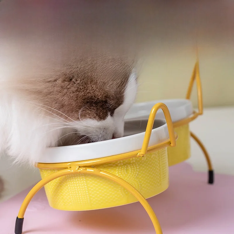 猫の食器選びで迷うなら、この「高脚傾斜口タイプ」が救う理由は？