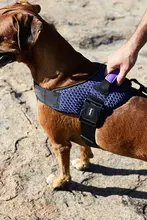 犬用ハーネス 馬具型 飛び出し防止 引っ張り防止 頑丈 小型犬 中型犬 大型犬 ゴールデンレトリバー ジャーマンシェパード ボーダーコリー 「zeedog」