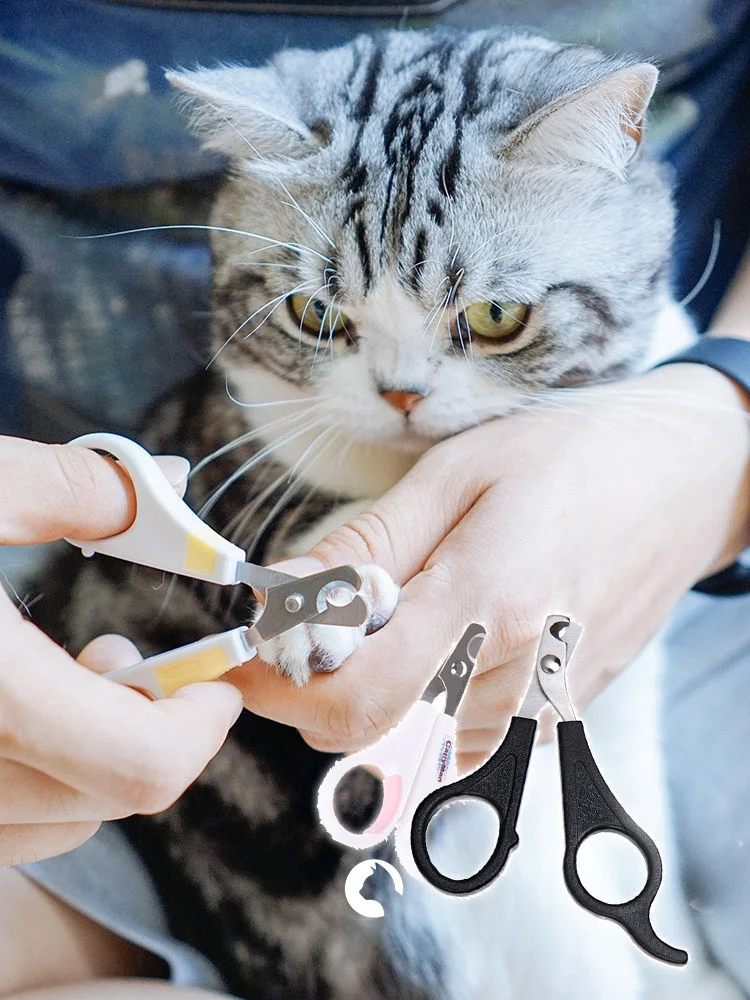 爪垢取りの正しいやり方は？5選で猫の爪を安全にケアする実践ノウハウ
