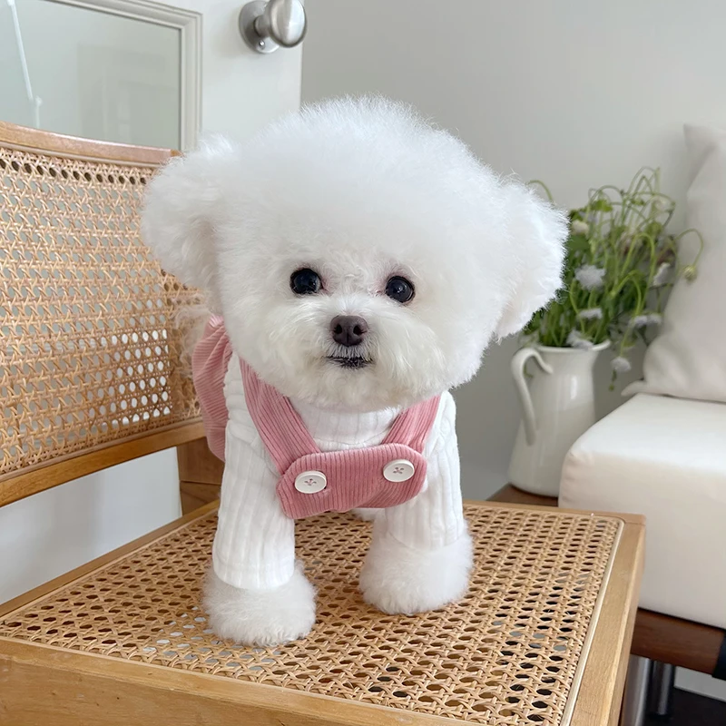 犬アウトレットで選ぶべきアイテムは？クマ刺繍サロペットが今、な  ぜ人気なのか