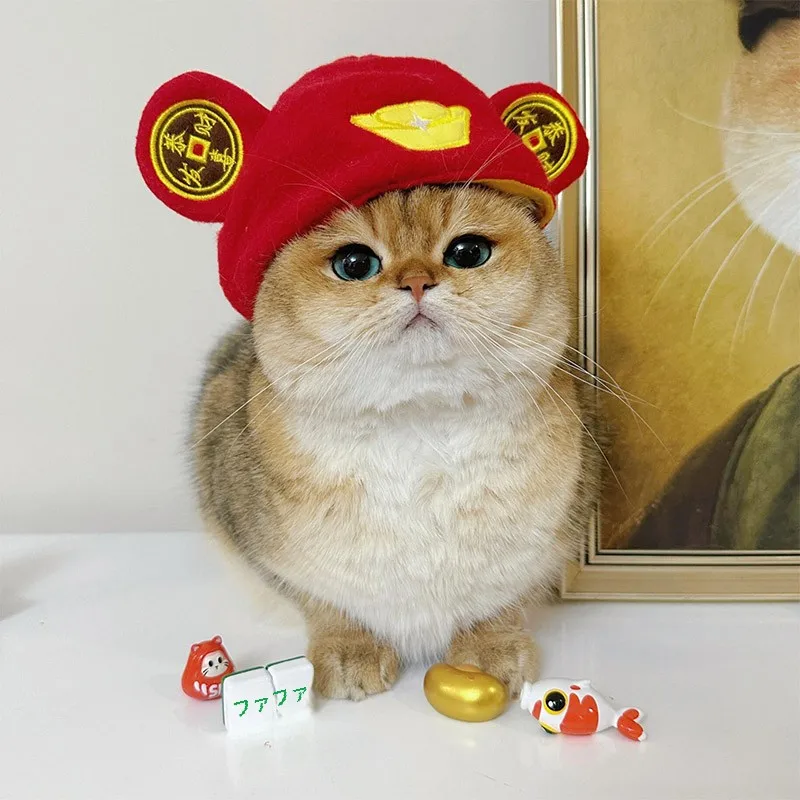猫用カートゥーンデザインのキャップ：一人暮らしに最適な可愛さと実用性のバランス