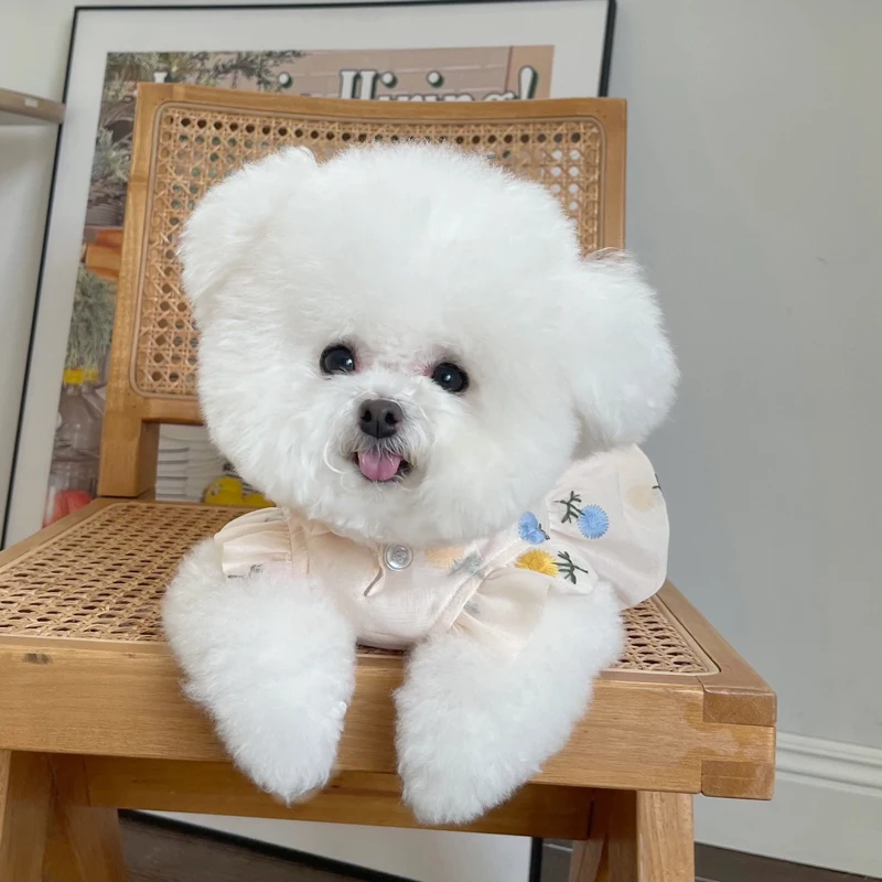 春夏用ペット服リボン付きトゥリカバー：軽量で通気性の高い犬猫用スカートの実用性を検証