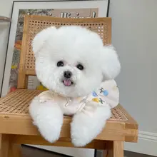 春夏用ペット服【リボン付き・トゥリカバー・軽量・犬猫用】
