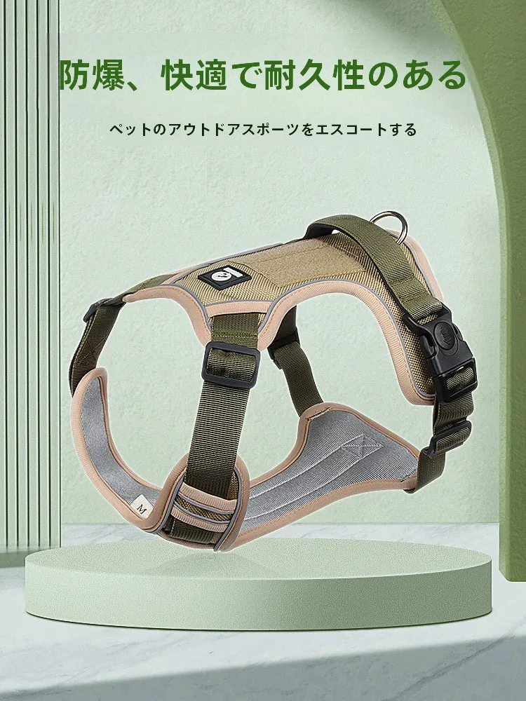 犬のお散歩グッズをコスパ良く揃える方法　完全ガイド