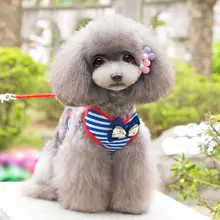 ペット用小型犬用リードとハーネス【テディベア犬用・調整可能】