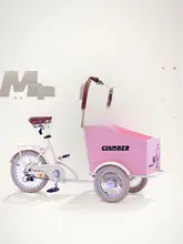 ペットカー 三輪車 小型犬 猫 外出散歩 携帯