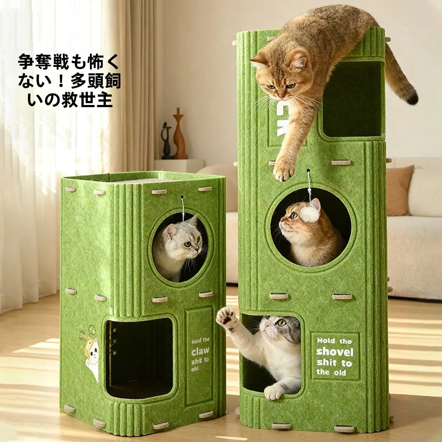 ペット猫を飼いやすいと感じる、本当の理由はどこにあるの？