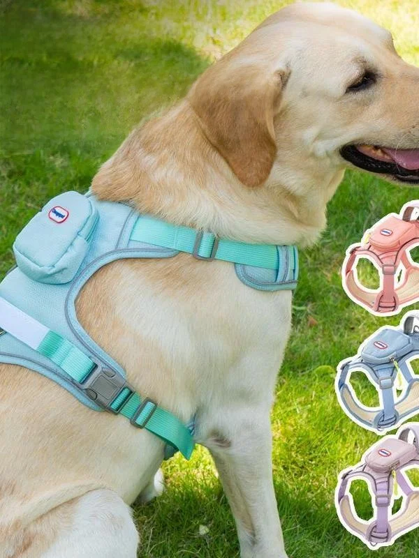 猫飼いが買ってよかったもの・悪かったもの正直に言う｜犬用ベストの実測ガイド