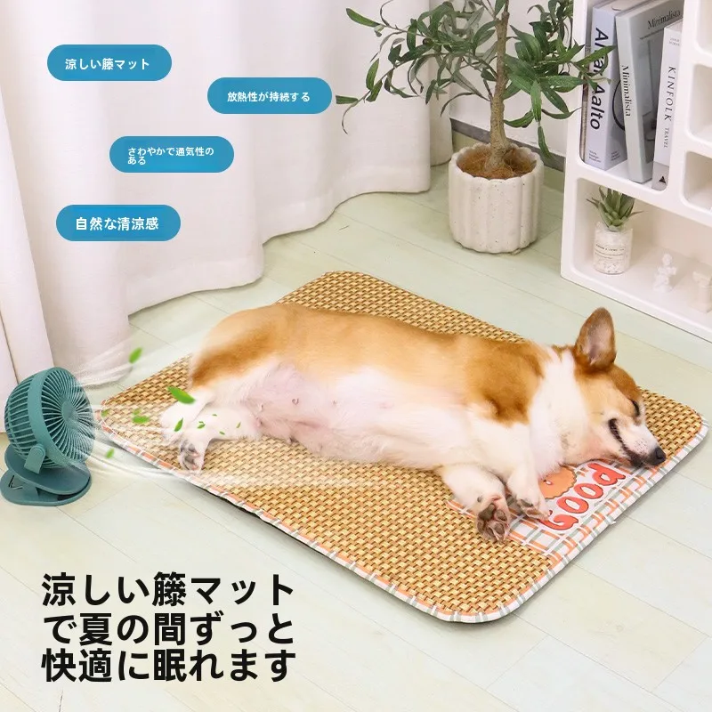 犬の暑さ対策で迷うなら、これひとつで解決できる？