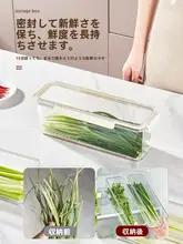 香草用整理容器【食品用・フレッシュ保存・冷蔵庫用】