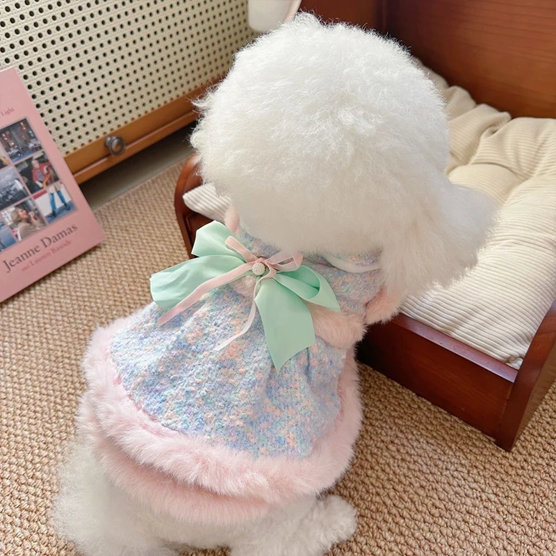 101匹わんちゃんコーデで悩むなら、この1着で解決できる？