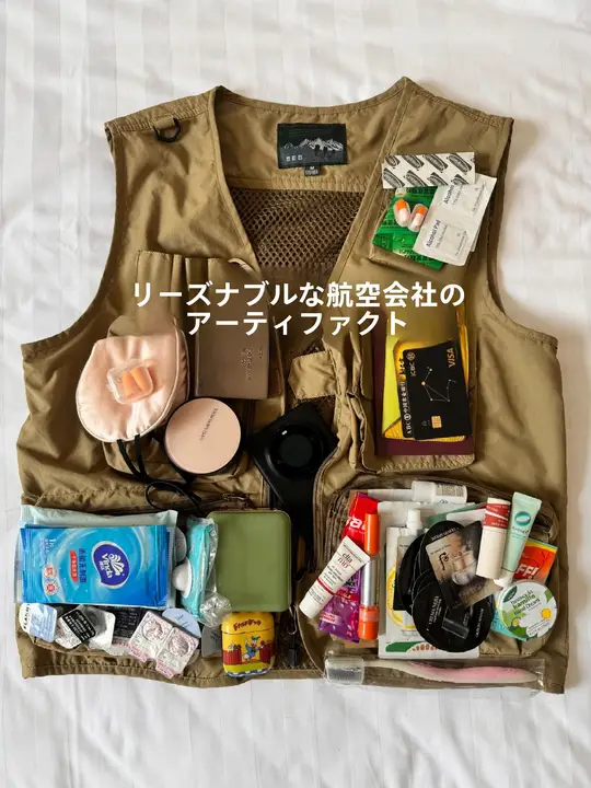 旅行用ポケット収納バッグ【折りたたみ式・証明書・充電ケーブル用・便利な携帯用】