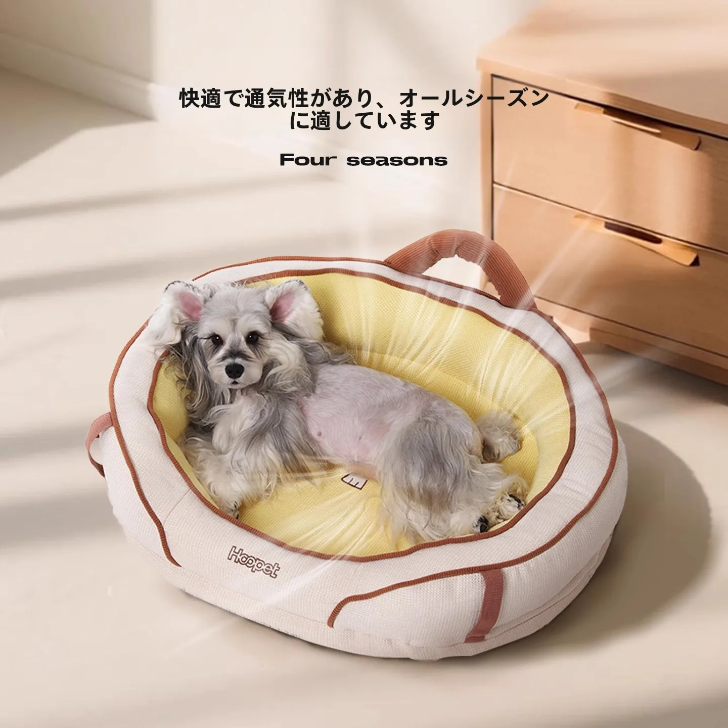 シンプルでスタイリッシュな円形犬用ベッド：小型犬用の空間に合うおしゃれなデザイン