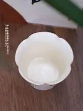 荒野コレクション マッシュルームカップ 250ml