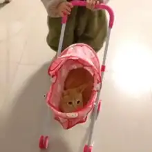 折りたたみ式ペットキャリーカート【小型犬・猫用・軽量・お出かけ便利】