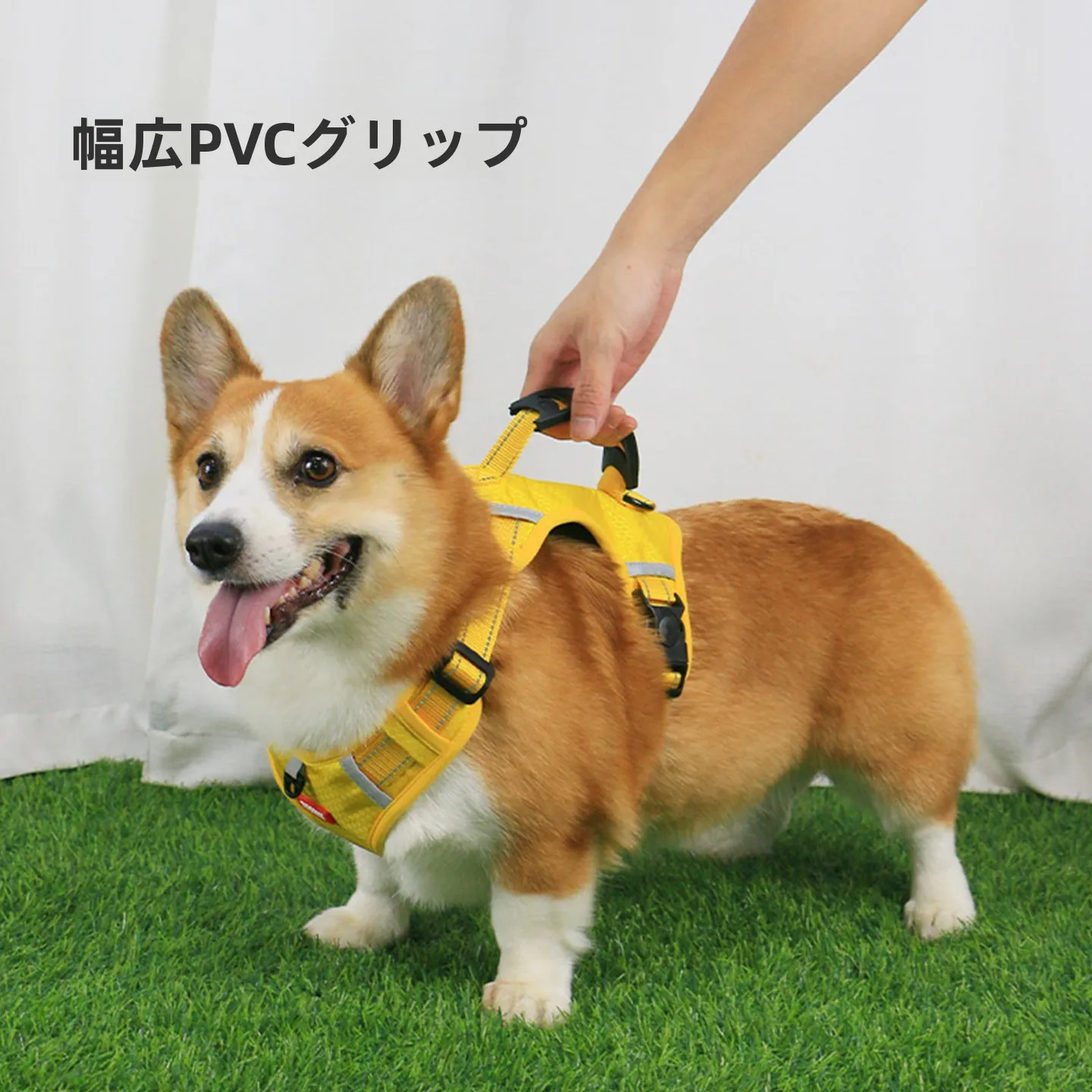 地震時に犬が安全に外に出られるようにする、本当の「防災リード」は？