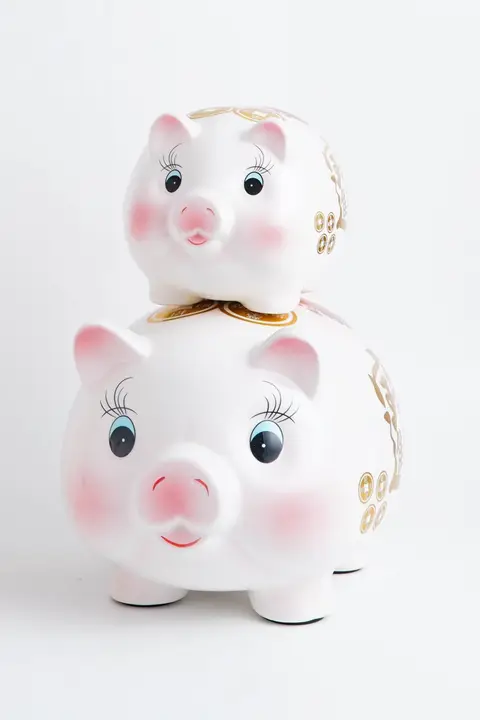 可愛らしい豚の貯金箱【貯蓄専用・男女兼用・子供向け】