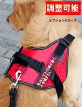 中型犬用ハーネスリード【胸部サポート・散歩用】