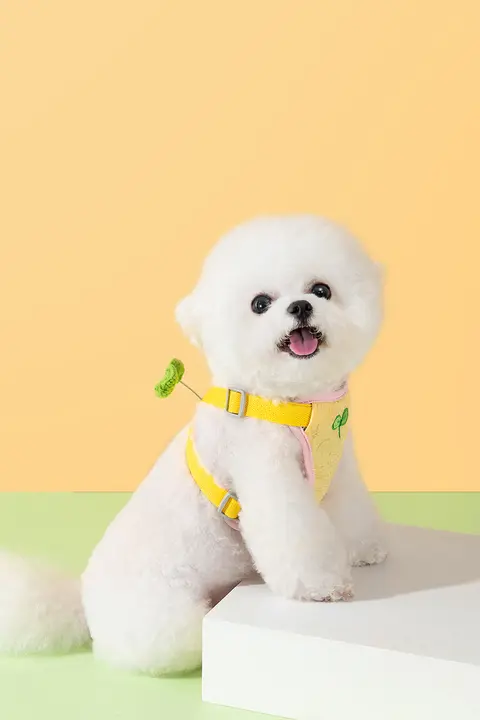 hipidog ハーネス型犬用リード【小型犬・テディ・ポメラニアン対応・散歩用】