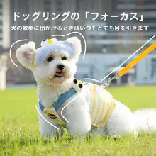 小型犬用Y型ハーネスとリードセット【春秋用・通気性素材】