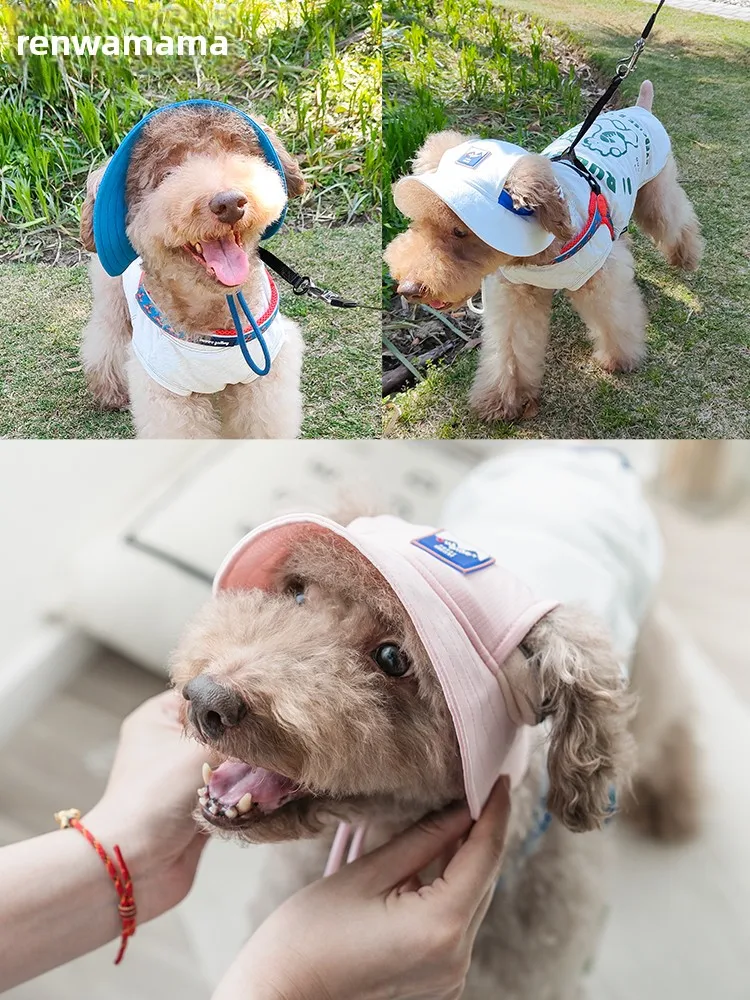 犬のお散歩グッズをコスパ良く揃える方法｜耳出し帽子と涼感ベストの実測ガイド
