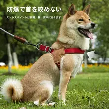 犬用ハーネス付きリード【中小型犬用・柴犬・テディベア・心地よい装着感】