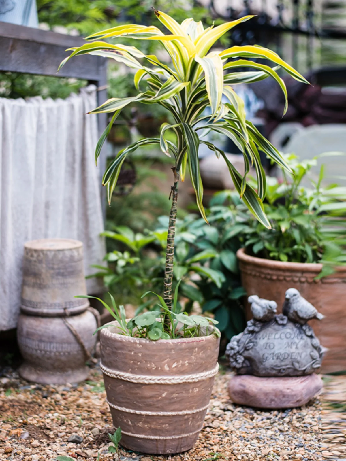ベランダ プランターとしての粗陶花器：レトロ風の欧風デザインと実用性のバランス