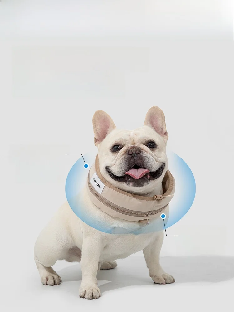 夏の外出で犬が熱中症になるのを防ぐには、どんな「あったかグッズ」がおすすめ？
