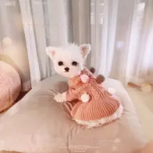 可愛いボールニット小型犬用秋冬保温衣服【テディ・ビション・ヨークシャー用・柔らかいスカートスタイル】