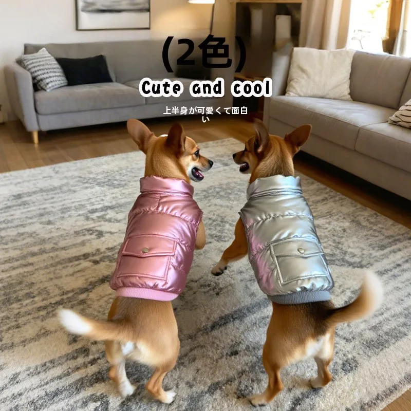 犬のお散歩グッズをコスパ良く揃える方法｜中大型犬向けアウターコートの選び方と実用性徹底解説