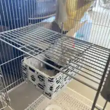 八旗 304不锈鋼製 プラットフォームと小動物用ジャンプ台【ペットゲージ用・はちかまオーストラリアリスのための踏み台】