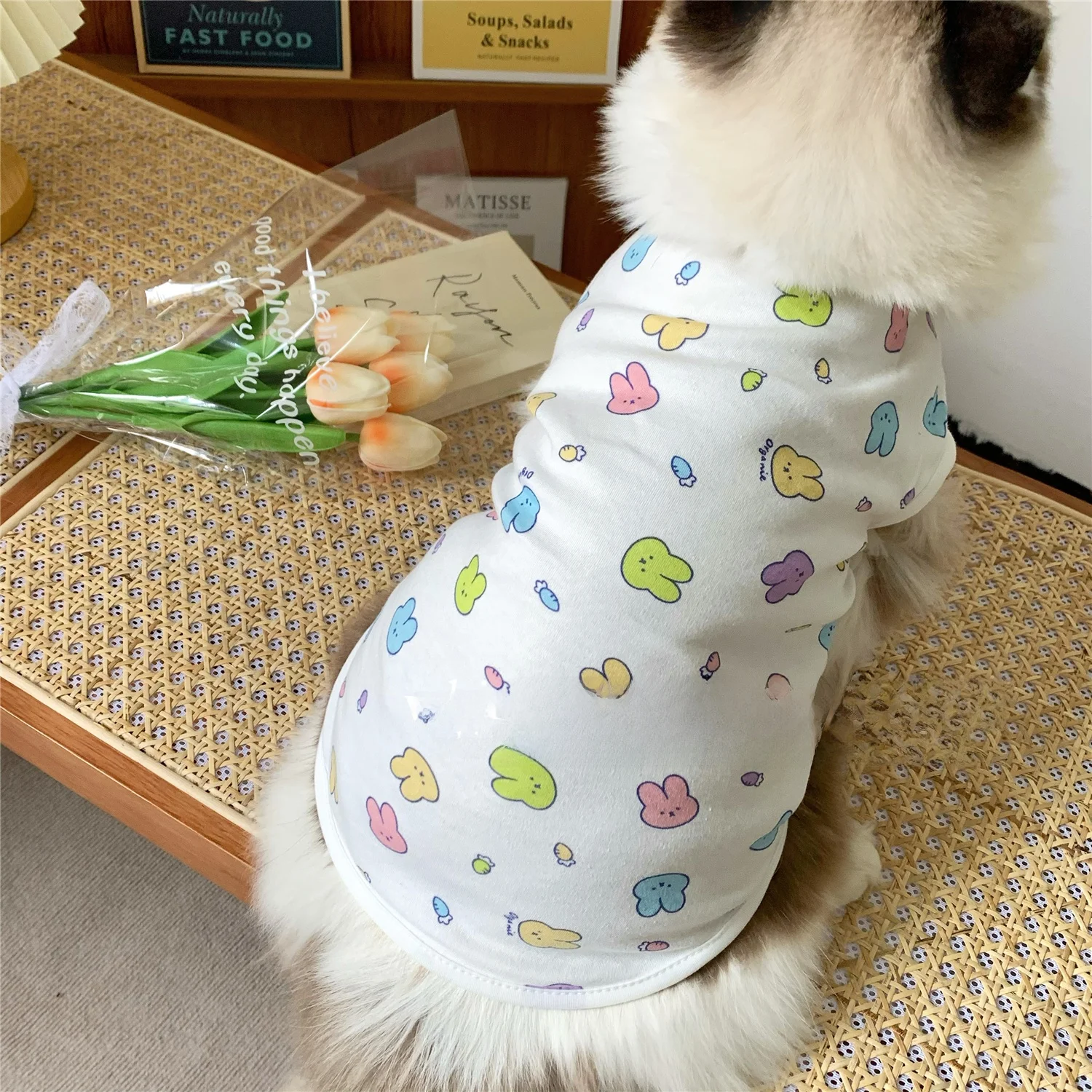 夏用犬猫服：休闲风格设计应对高温环境的实用解决方案