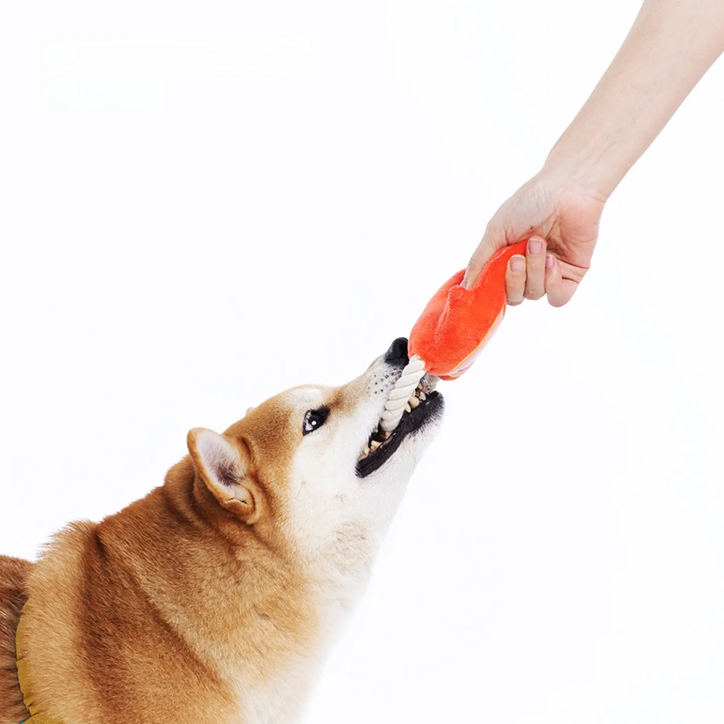 インタラクティブ犬用ロープおもちゃ：発声機能と耐噛みで室内飼育に最適なトレーニングツール