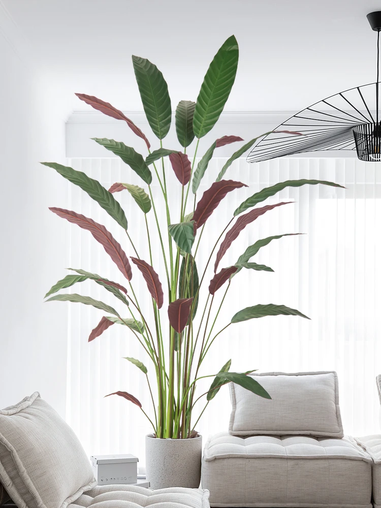 韓国インテリアを再現｜カフェ風部屋の作り方　リアルな観葉植物選びの完全ガイド