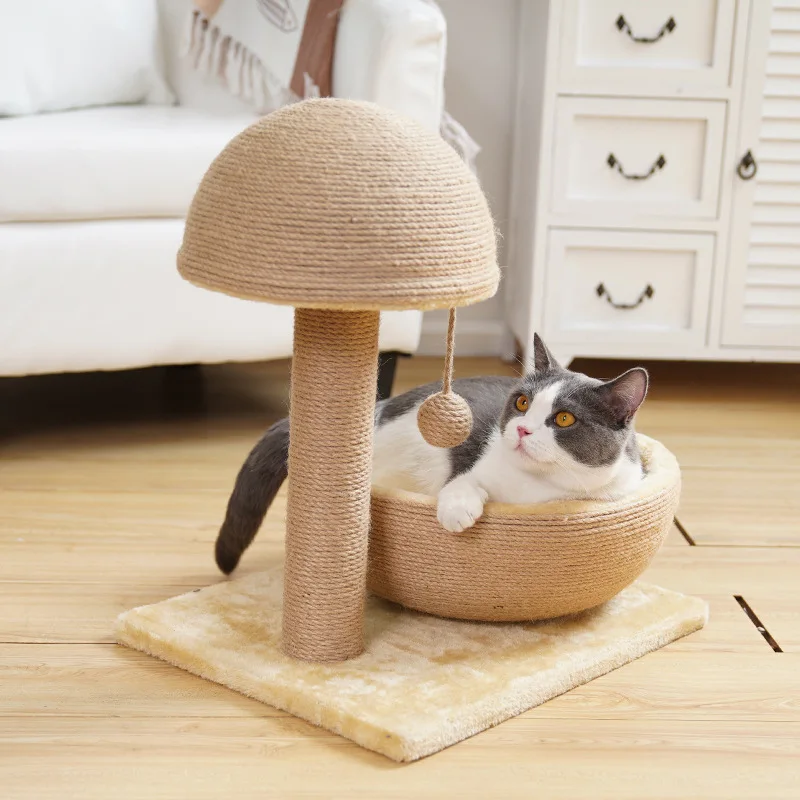 猫のための家はどう選ぶ？マッシュルーム型キャットタワーが解決するリアルな悩み