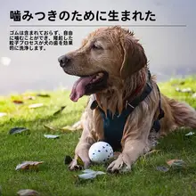 耐噛性ペットボール【大型犬用・犬の歯磨き・解消】