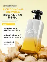 男性用防脱毛シャンプー【側柏葉エキス・人参生姜配合・油分コントロール】