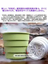 通気性のある樹脂製鉢【ガロンサイズ・月季・アジサイ・胡蝶蘭用】